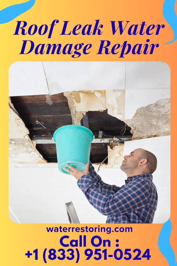 Roof Leak Water Damage Repair in Hortonville, WI