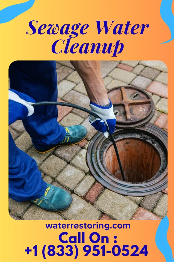 Sewage Water Cleanup in Hortonville, WI
